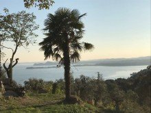 Ausblick Garten VERKAUFT: Prestige-Appartement mit einzigartigem Seeblick am Westufer des Gardasees