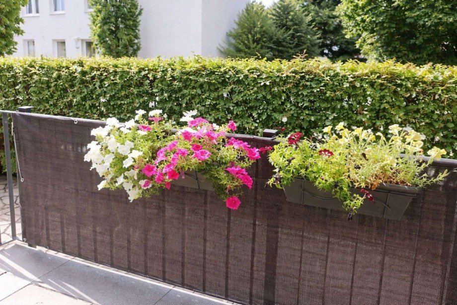 Balkon Terrassenwohnung M�nchen