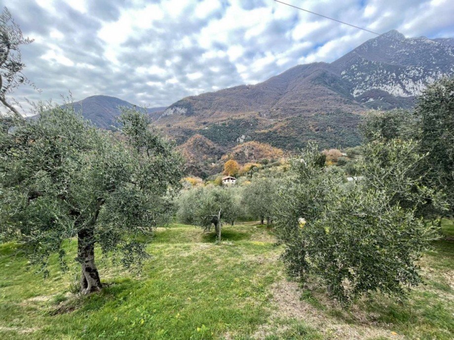 Viel Platz zum Entspannen Grundst�ck Toscolano